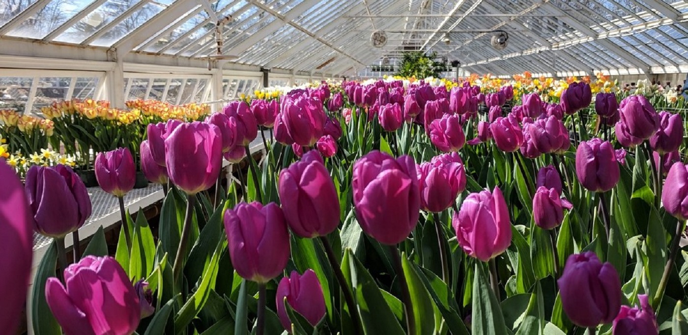 Horticulture